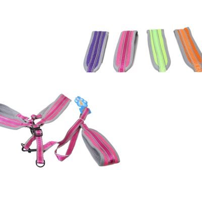 Assorted Colour Dog Leash and Strap Adjustable Long Leash 1 Pack 5884 (Parcel Rate)